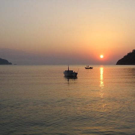 Adrasan Kybele Hotel Dış mekan fotoğraf